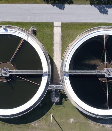 Water Plant